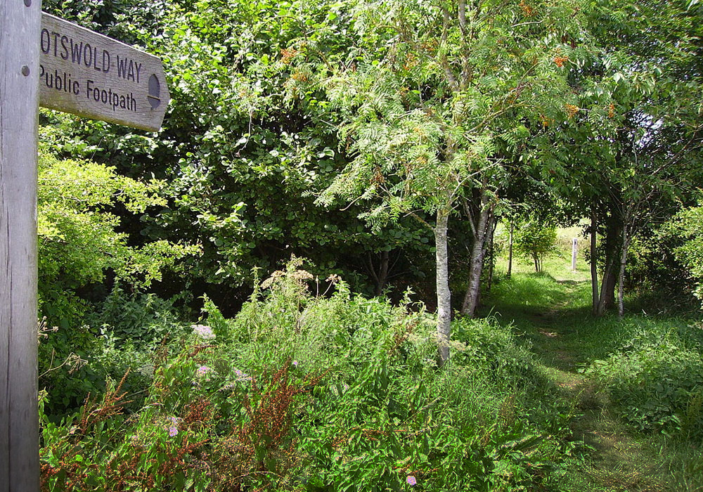 Green Walk Standish The P J Livesey Group